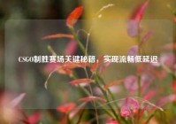 CSGO制胜赛场关键秘籍，实现流畅低延迟