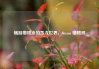 畅游啪嗒崩的蒸汽世界，Steam 啪嗒砰