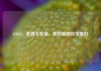 CSGO，老婆不在家，我的游戏珍宝媳妇
