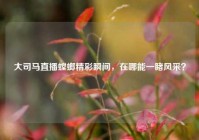 大司马直播螳螂精彩瞬间，在哪能一睹风采？