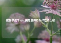 蓝胖子携手PUBG国际服开启别样吃鸡之旅