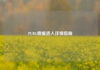 PUBG俄服进入详细指南