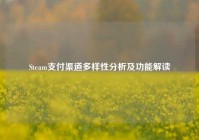 Steam支付渠道多样性分析及功能解读