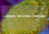 LOL逃兵惩罚，守护公平竞技，了解惩罚局数
