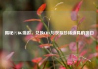 揭秘PUBG端游，兑换CDK与获取珍稀道具的窗口