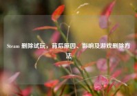 Steam 删除试玩，背后原因、影响及游戏删除方法