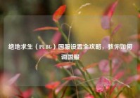 绝地求生（PUBG）国服设置全攻略，教你如何调国服