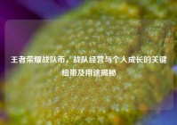 王者荣耀战队币，战队经营与个人成长的关键纽带及用途揭秘