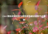 CSGO 精彩战局回放与微信语音通话回放方法揭秘