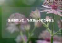 逆战蔷薇之恋，飞碟激战中的空中魅影