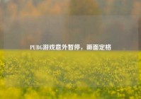 PUBG游戏意外暂停，画面定格
