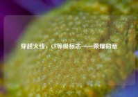 穿越火线，CF等级标志——荣耀勋章