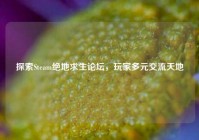 探索Steam绝地求生论坛，玩家多元交流天地