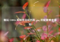 畅玩 COD16 高帧率及应对高 ping 的配置要求须知