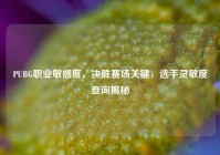 PUBG职业敏感度，决胜赛场关键，选手灵敏度查询揭秘
