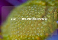 CSGO，于虚拟战场铸就现实传奇