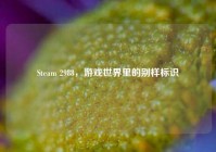 Steam 2988，游戏世界里的别样标识