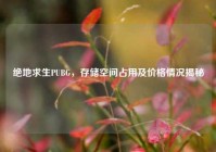 绝地求生PUBG，存储空间占用及价格情况揭秘