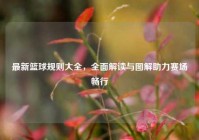 最新篮球规则大全，全面解读与图解助力赛场畅行