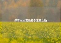 探寻PUBG雪地打卡宝藏之地