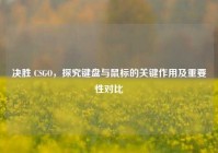 决胜 CSGO，探究键盘与鼠标的关键作用及重要性对比