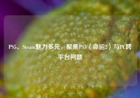 PS5、Steam魅力多元，聚焦PS5〈命运2〉与PC跨平台问题