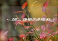 CSGO换雷达，提升游戏体验的关键设置