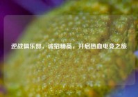 逆战俱乐部，诚招精英，开启热血电竞之旅