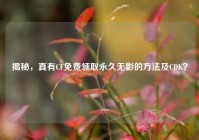 揭秘，真有CF免费领取永久无影的方法及CDK？