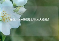 光谷，CSGO激情热土与CSC大楼简介
