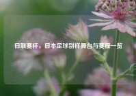 日联赛杯，日本足球别样舞台与赛程一览
