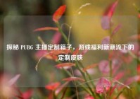 探秘 PUBG 主播定制箱子，游戏福利新潮流下的定制皮肤