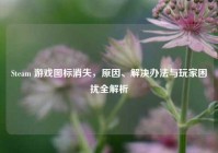 Steam 游戏图标消失，原因、解决办法与玩家困扰全解析