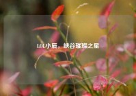 LOL小辰，峡谷璀璨之星