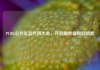 PUBG公共礼品代码大全，开启游戏福利的钥匙