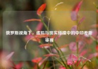 俄罗斯视角下，虚拟与现实碰撞中的中印差距审视