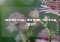 CF训练模式训练室，电竞梦想孵化场，训练模式在哪？