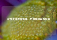 逆战龙珠视频直播，热血盛宴观看指南