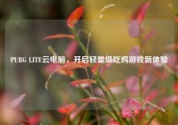 PUBG LITE云电脑，开启轻量级吃鸡游戏新体验