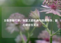 王者荣耀代理，财富之路机遇与挑战并存，能否赚钱引关注