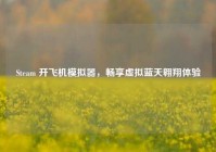 Steam 开飞机模拟器，畅享虚拟蓝天翱翔体验