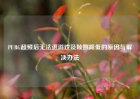 PUBG超频后无法进游戏及帧数降低的原因与解决办法