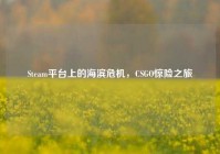 Steam平台上的海滨危机，CSGO惊险之旅