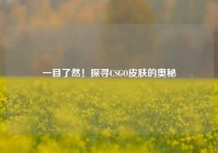 一目了然！探寻CSGO皮肤的奥秘