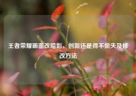 王者荣耀画面改暗影，创新还是得不偿失及修改方法