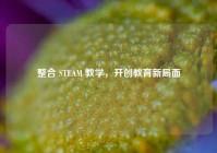 整合 STEAM 教学，开创教育新局面