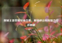 探秘王者荣耀短袖合集，解锁峡谷时尚魅力打造秘籍