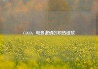 CSGO，电竞激情的炽热绽放