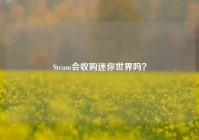 Steam会收购迷你世界吗？