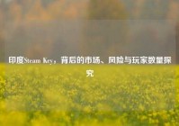 印度Steam Key，背后的市场、风险与玩家数量探究